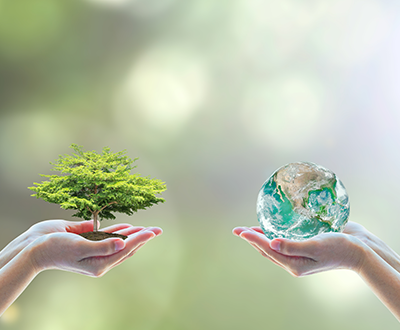 Sustainbility